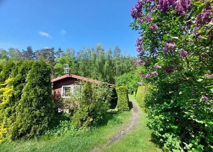 Tatil Evi Nadmorskie Wczasy Gdansk